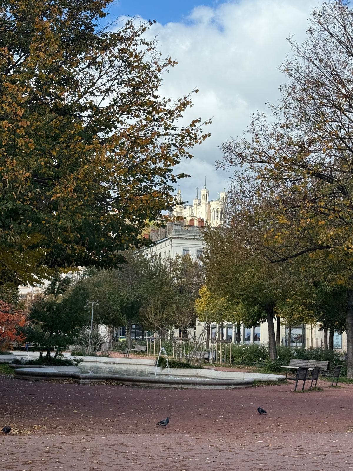 Galeria 33